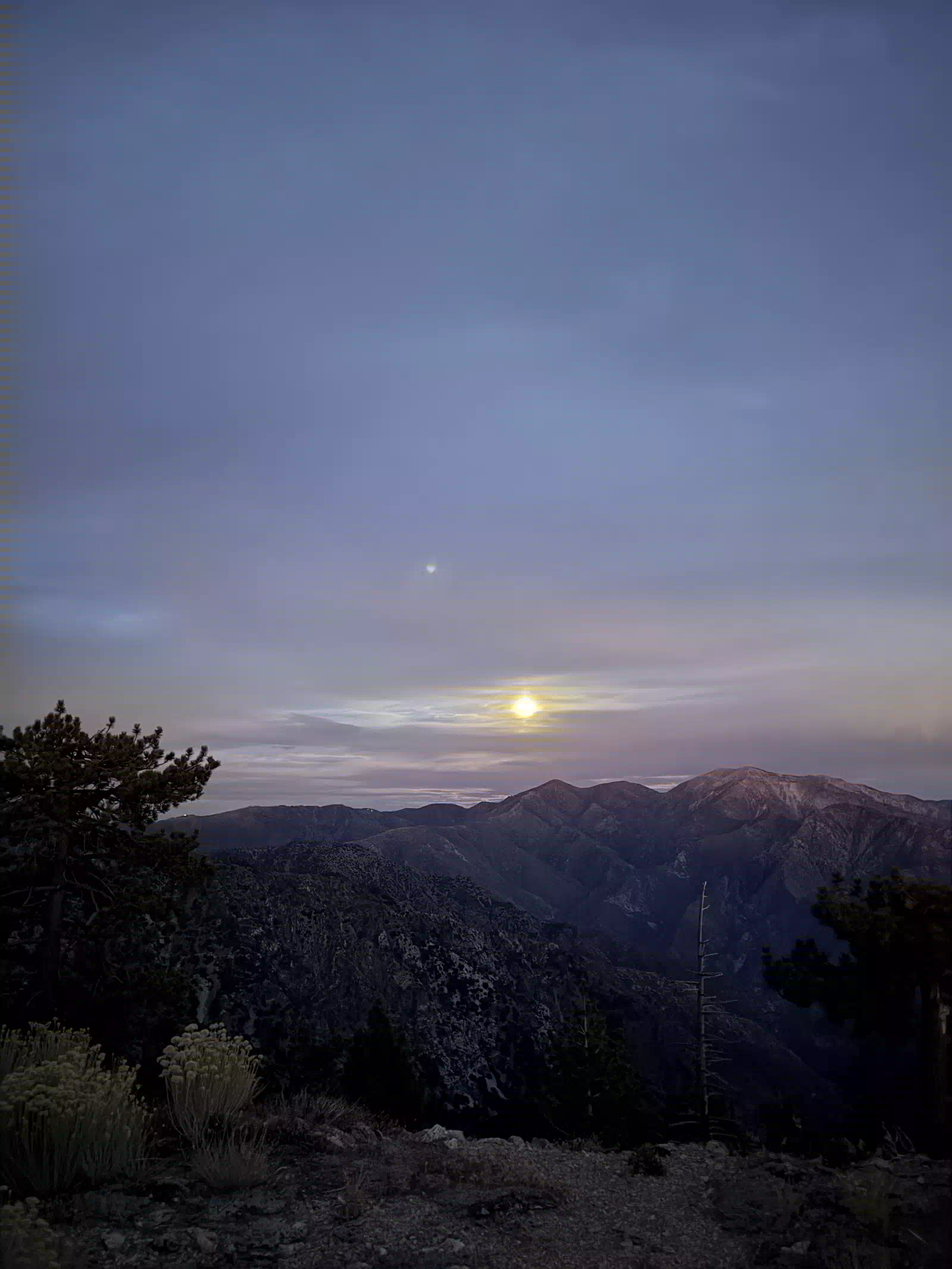 The full moon low over the range at dusk, above pines and wildflowers on the summit