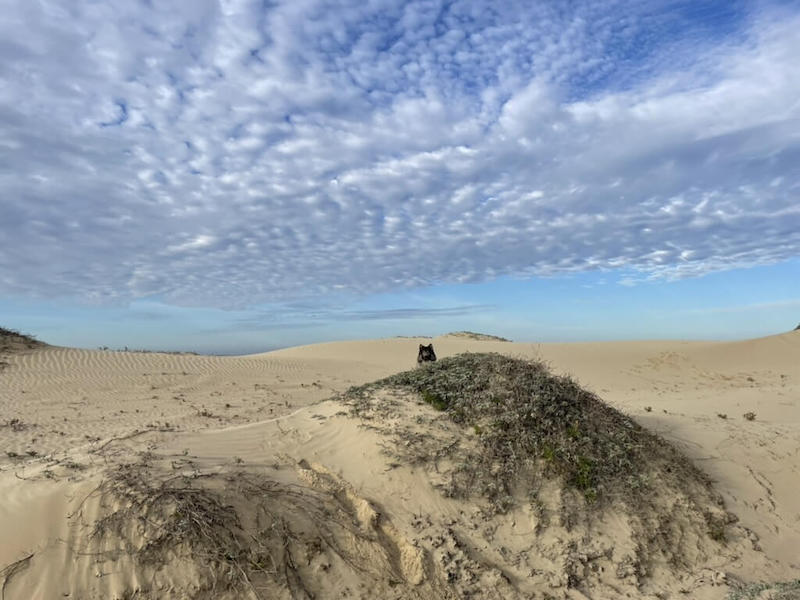 Chris hiking